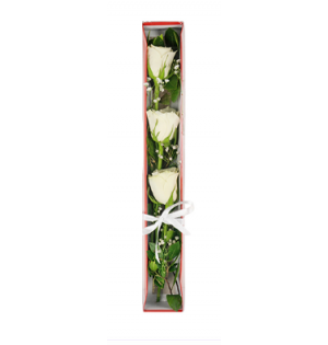 Kutuda Beyaz Güller (3'lü - ~48 cm)